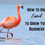 email for marketing flamingo walking through shallow water