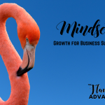 Mindset growth pink flamingo in blue background