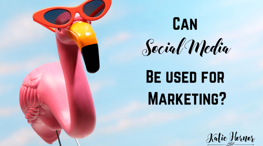 social media platforms for marketing flamingo with sunglasses with blue sky background