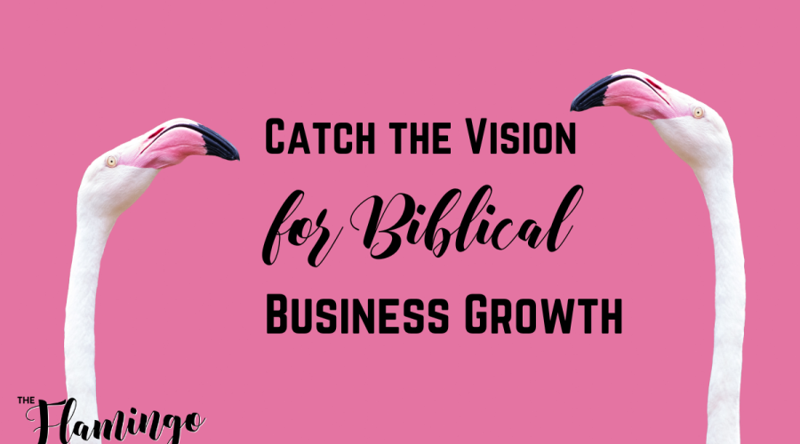 business vision biblical growth pink flamingos