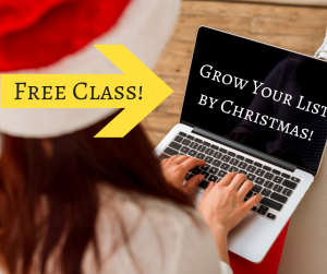 How to Grow Your List by Christmas!