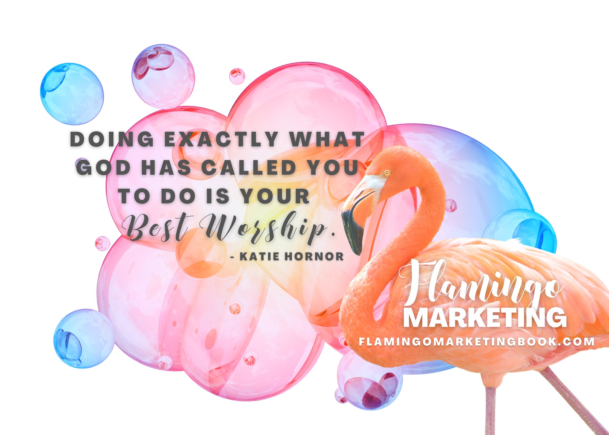sell an online program Katie Hornor Flamingo advantage