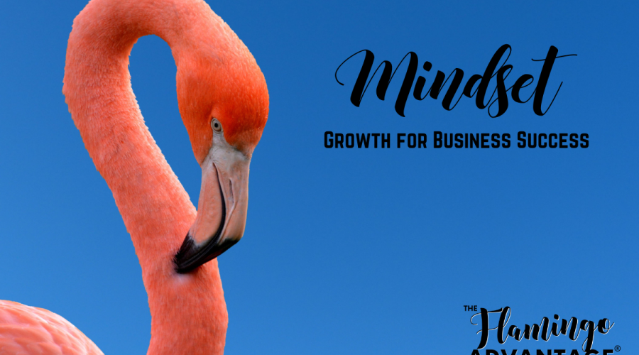 Mindset growth pink flamingo in blue background