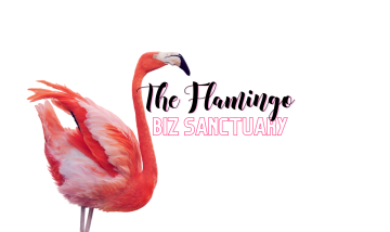 flamingo biz sanctuary uniqueness in business